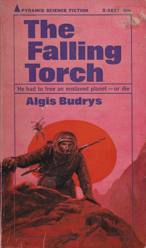 Cover of The Falling Torch