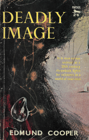 Cover of Deadly Image