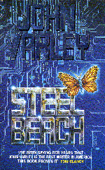 Cover of Steel Beach