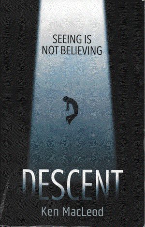 Cover of Descent