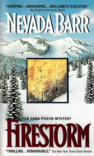 Cover of Firestorm